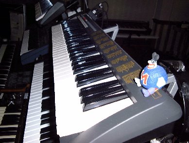Evolution 5 octave MIDI controller keyboard and Max the Blue Meanie...